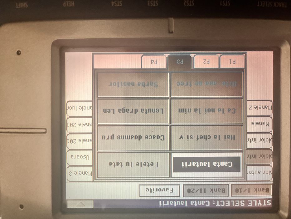 Set pentru Korg pa800.