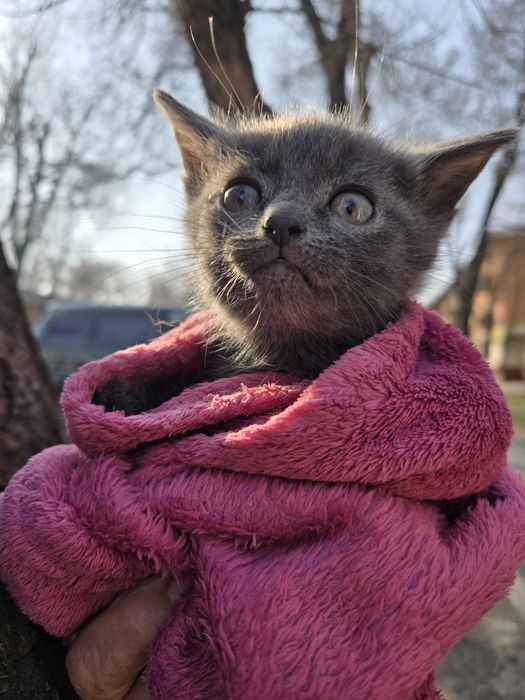 Пролам не дорого