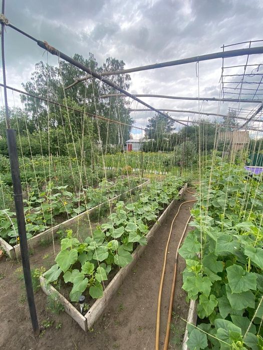 Продается Дача в Солнечном