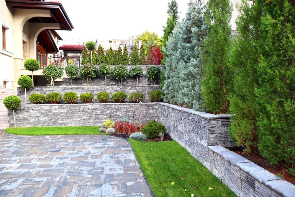 Резитба на овощни дръвчета и професионално озеленяване