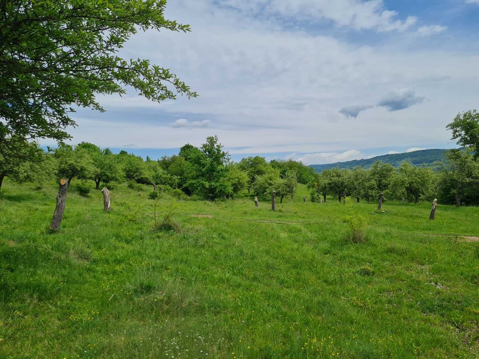 Teren intravilan - Comuna Stâlpeni jud.Arges 5000 mp