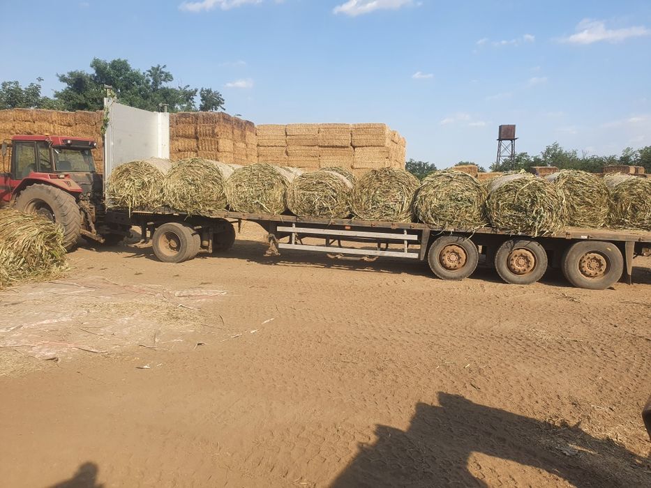 Vând baloti rotunzi infoliati lucerna si siloz porumb TOCAT