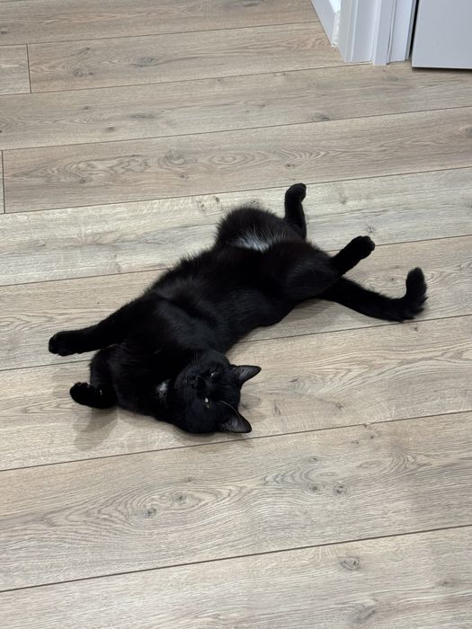 Бесплатно 10 месяц