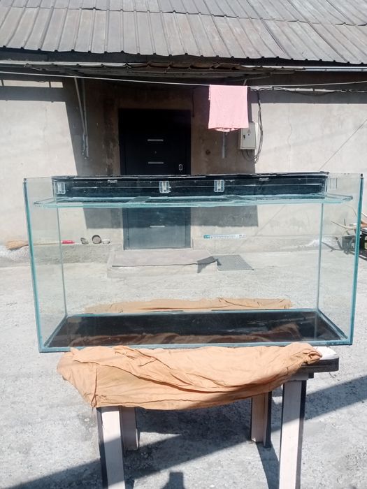 Аквариум Б/У. Торг уместен