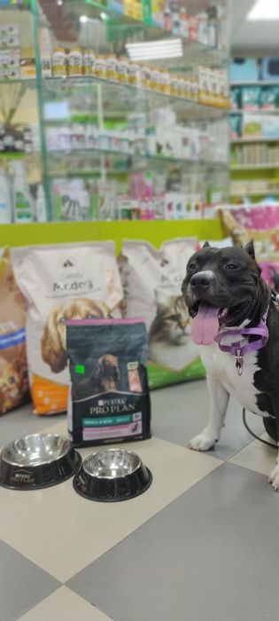 Кабель ищет девочку