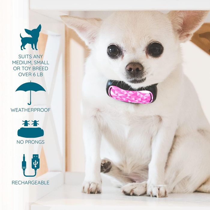 Zgarda anti lătrat pt câini mici și mijlocii,reincarcabila,sigilat