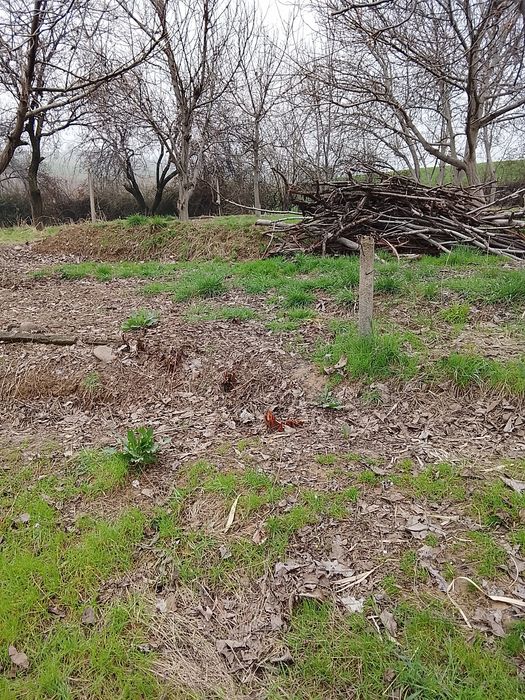 Yer sotiladi srochno