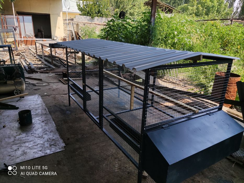 Tovuq kataklar sifatli