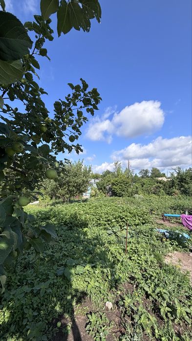 Продам дачу, район Омега