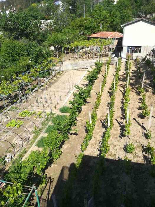 Продава се Къща в Варна, Спортна зала - 220 кв.м за 1591 €/кв.м - Снимка #6