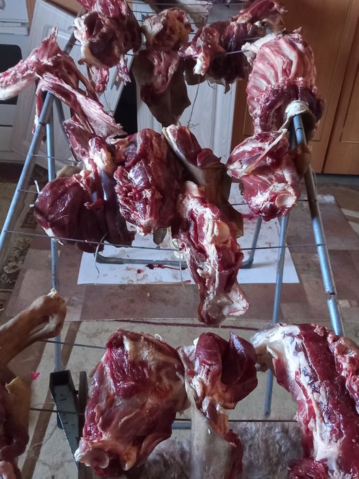 Қойдың еті сатылады