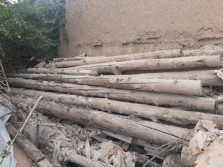 Тусинлар сосна холати яхши