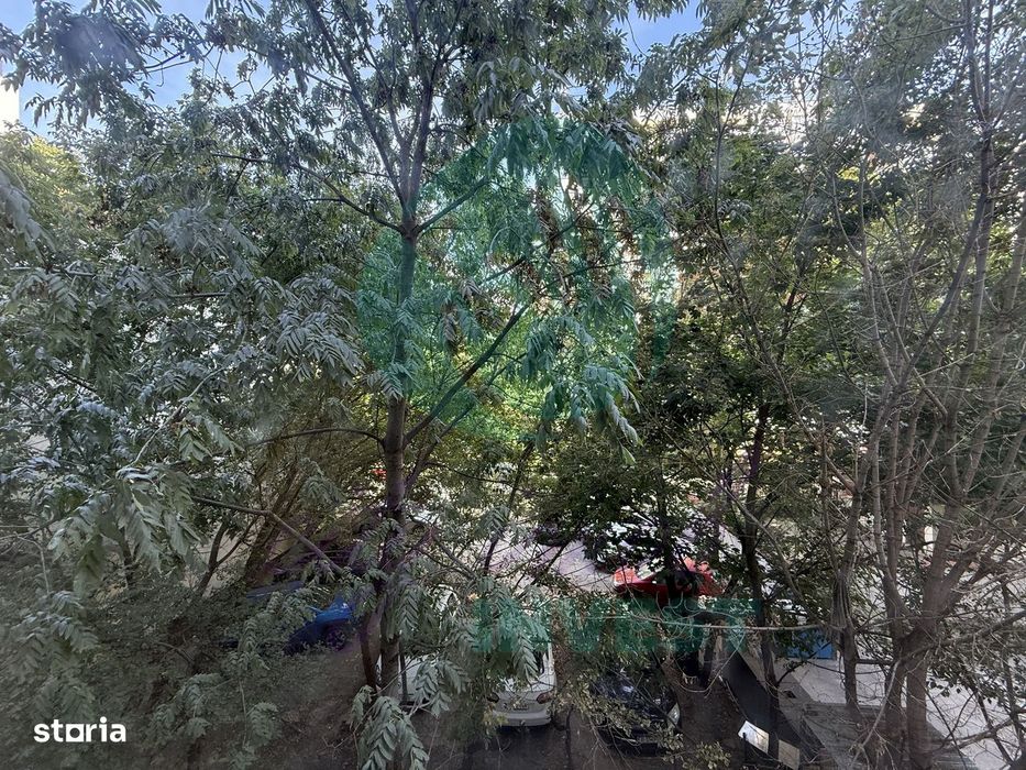 3 camere Vatra Luminoasa etajul 2