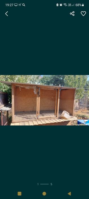 Клетки срочно разные размеры