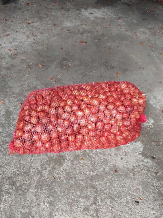 Български сух лук, арпаджик и балучка