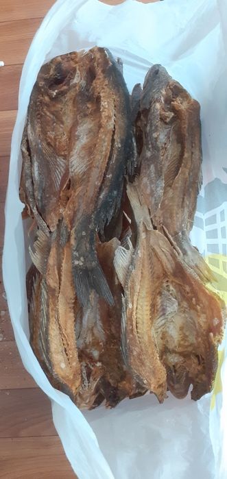 Балық сатылады кг 1300 ₸