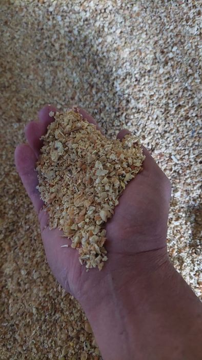 Соевый шрот ,шрот