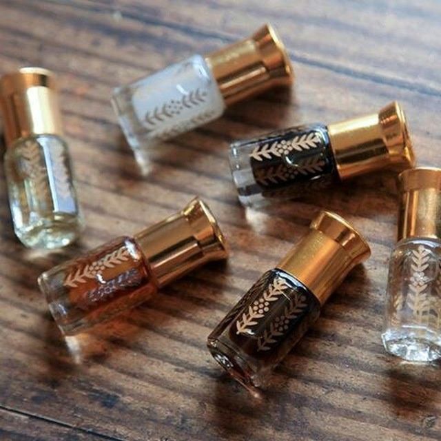 Mushk anbarlar optomga faqat