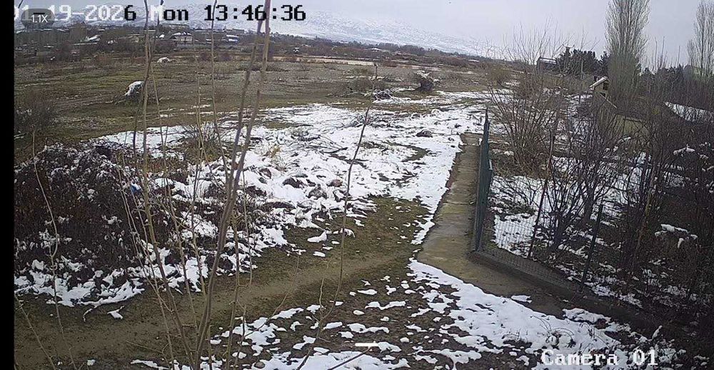 Продается дача 24 сот! Бостанлыкский р-н пос Янгиовул в дачном СВТ