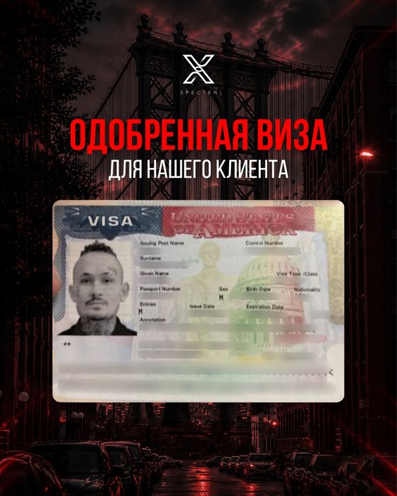 Виза США В1 В2 , F1