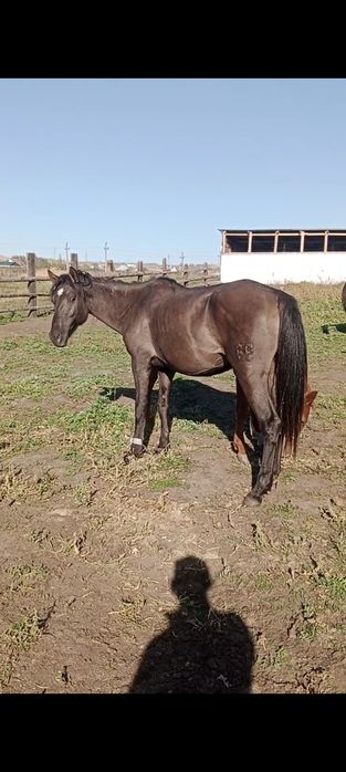 Продам либо обмен