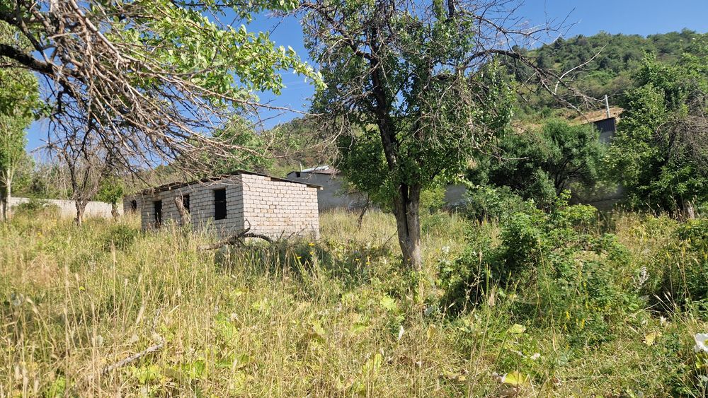 Амирсой 6+6=12 соток