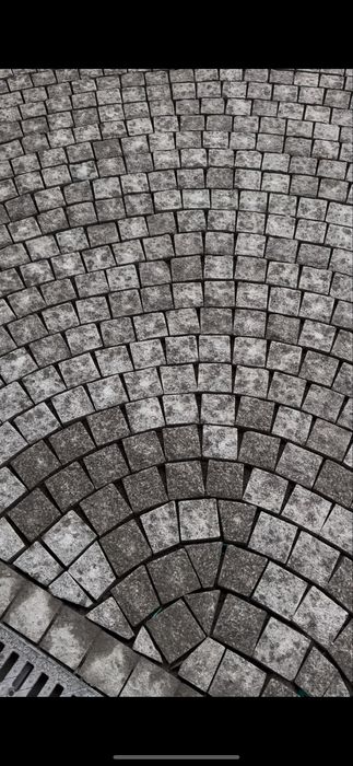 Bruchatka Koksaroy kolitiy