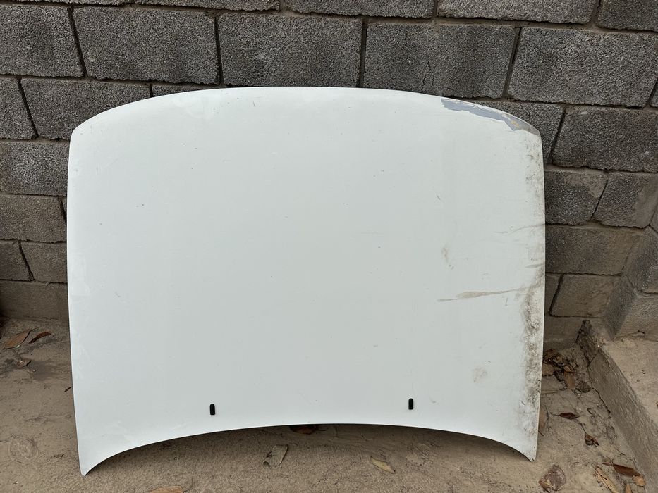 Пассат дельфин капот в4