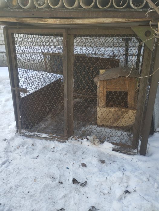 Вольер для собаки