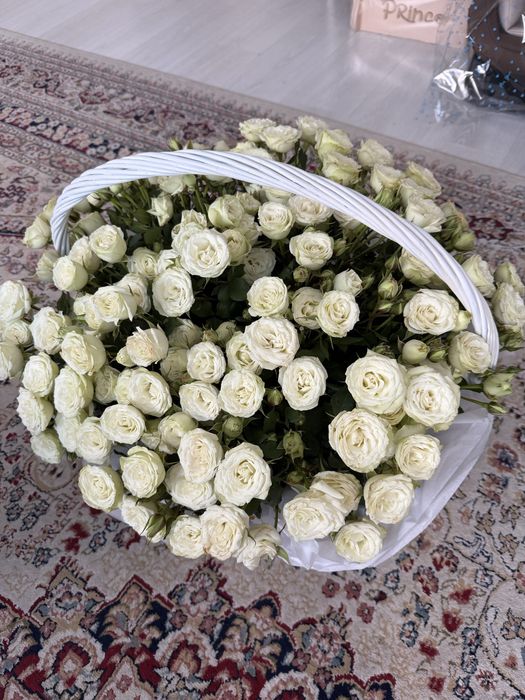 Продам цветы свежие