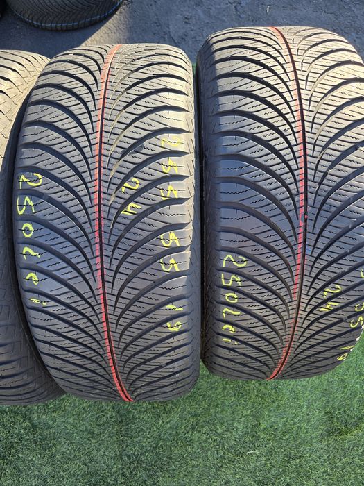 225 55 19 goodyear all seasson