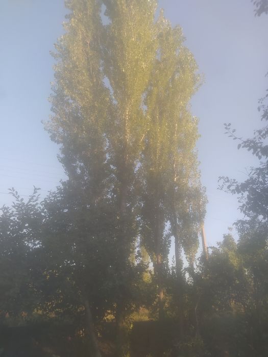 Дача сотилади юкори Чирчик корсой томонда