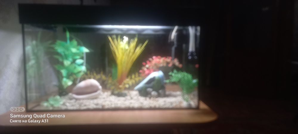 Продам аквариум  на 80 и 60  литров