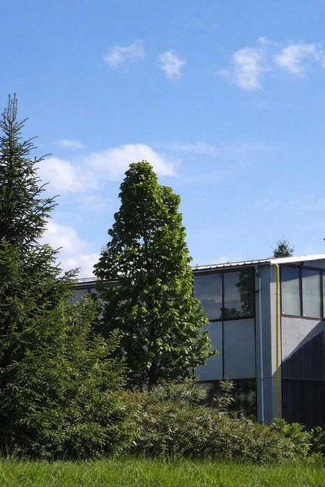 Hala industriala de inchiriat pe Calea Bucuresti folosinta multipla