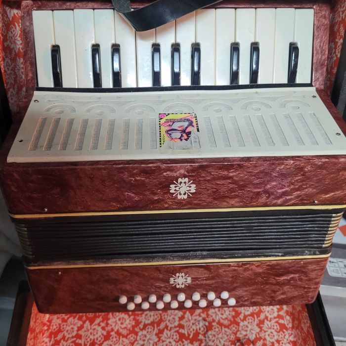 Детски  акордеон.