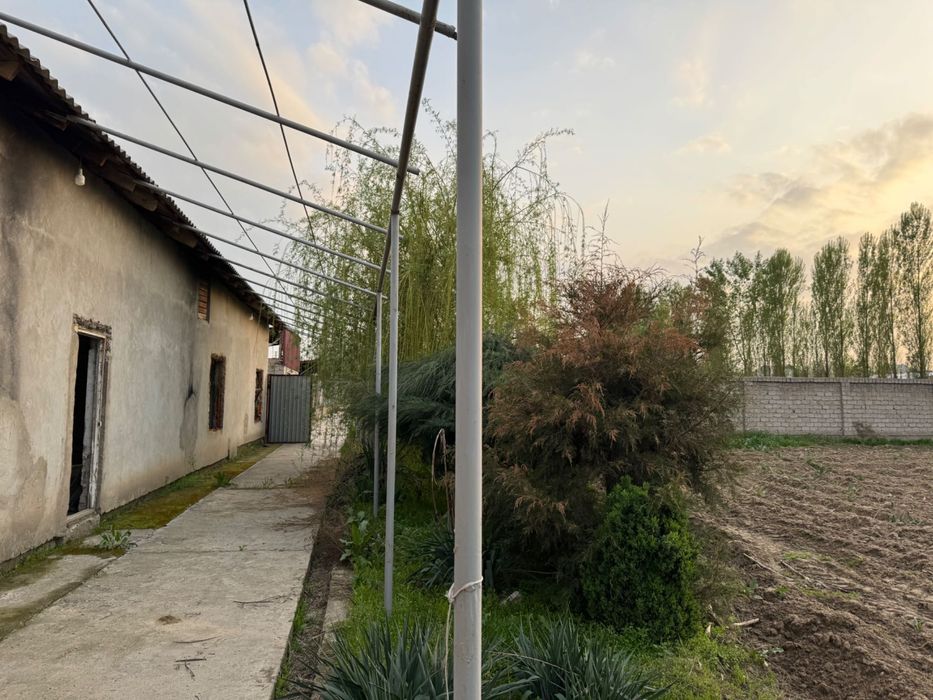 Yangiyolda 20 sotik ferma sotiladi hama sharoit bor