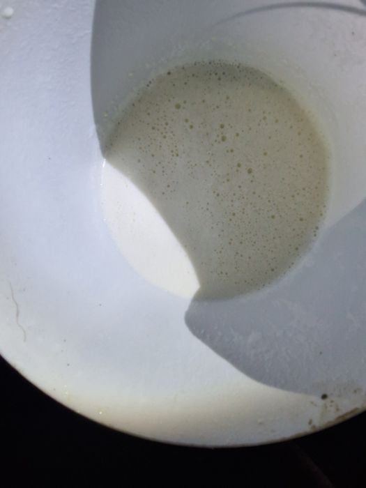 Корова с восьмым оттелом