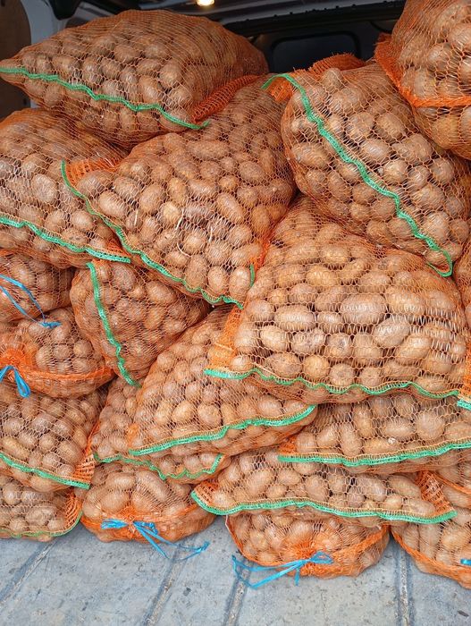 Vând cartofi de sămânță ...Belarosa,Ultra si Carrera.