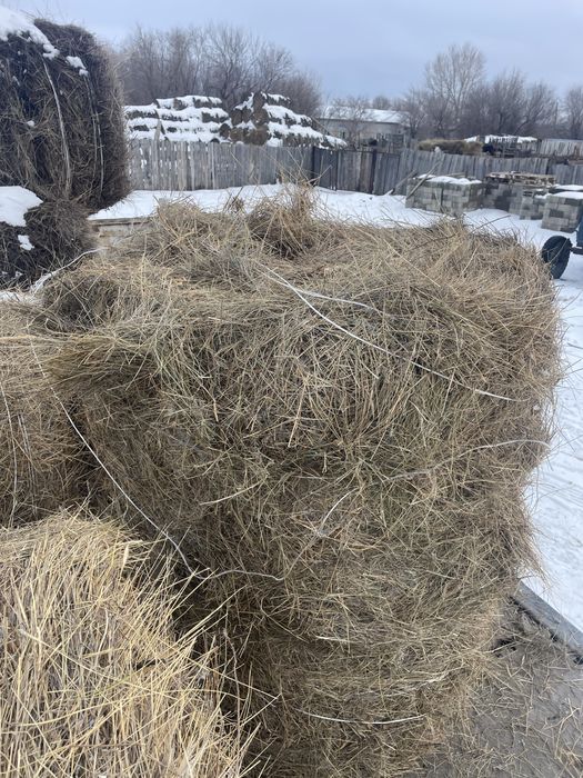 Сено разнотравье рулоны