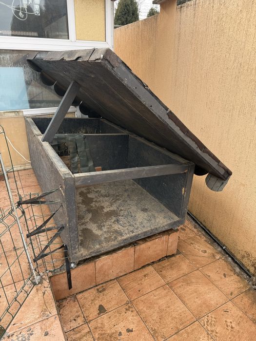 Cusca caine companie, curte