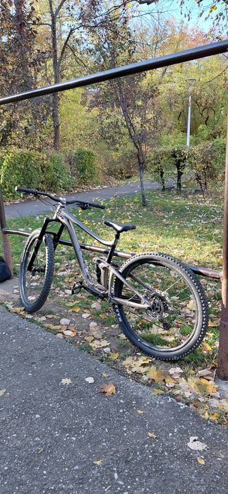 Cadru Giant reign 2022