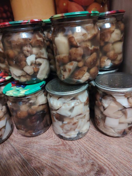 , Продам соления