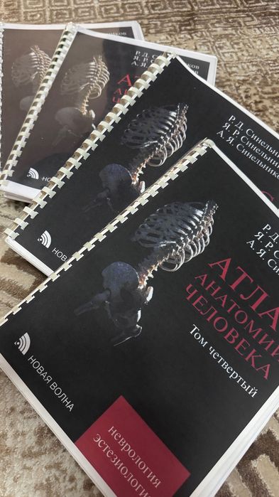 Атлас анатомии человека Синельников