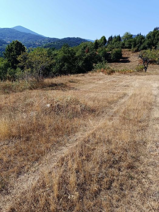 Продава се Парцел в с. Баните, Област Смолян - 600 кв.м за 17 €/кв.м - Снимка #5