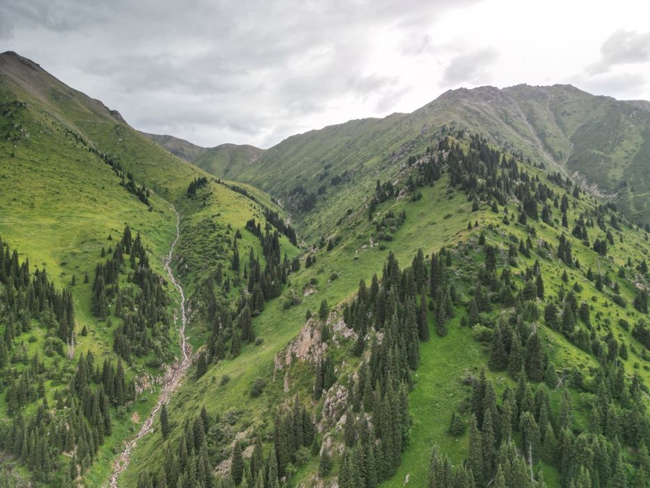 Аэросъёмка съёмка с дрона