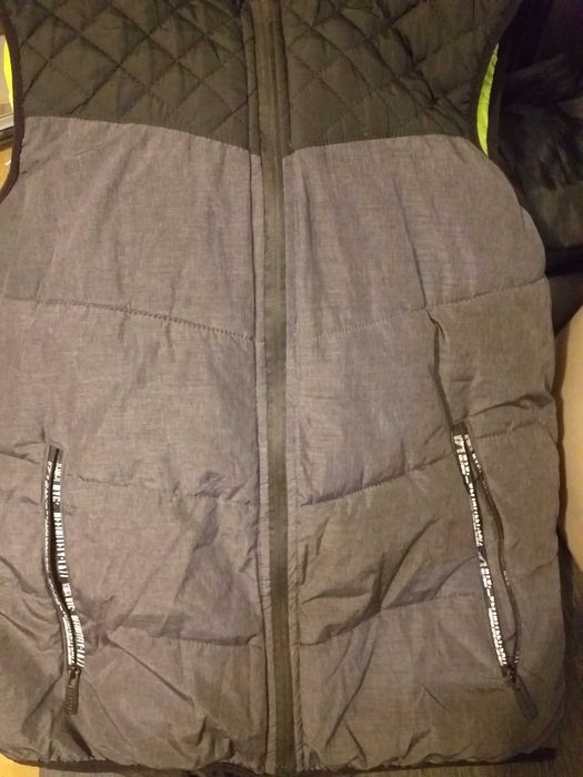 Vesta captusita (Chapter/Takko), XL