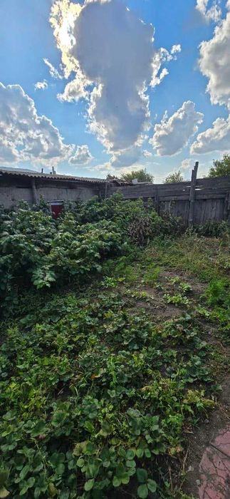 Продажа дома в Тобыле