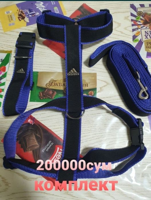 Ошейники  для собак