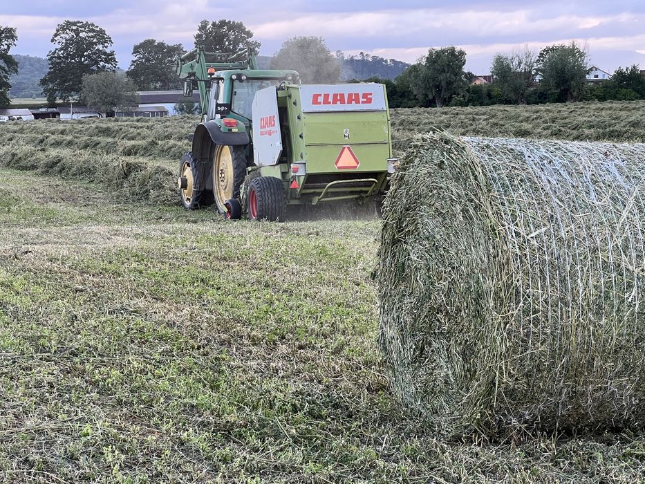 Baloti Lucerna Baloti rotunzi