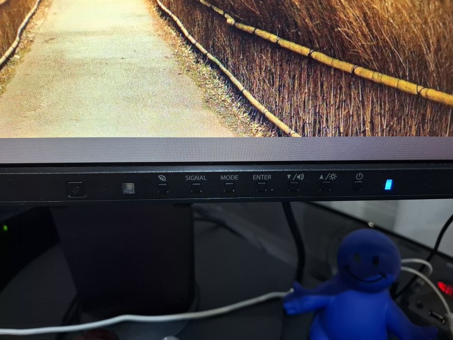 Монитор     еizo  24"